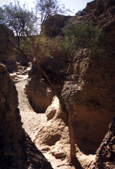 Sesriem Canyon